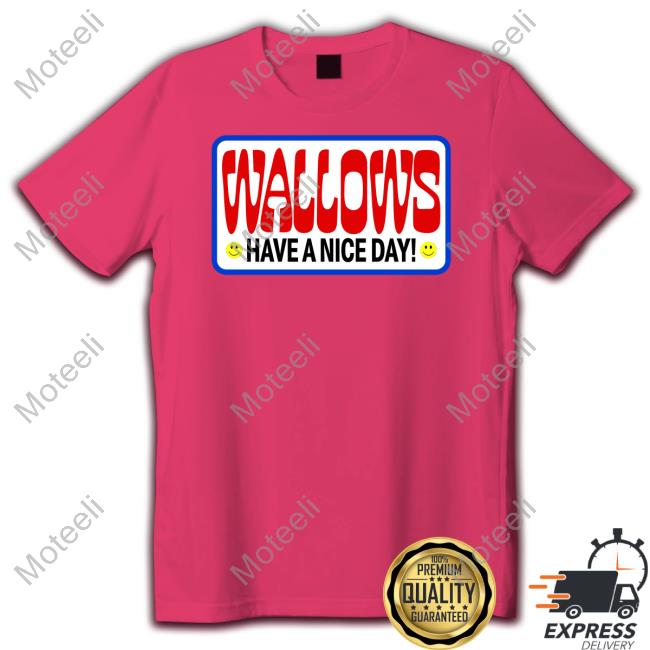 Wallows Have A Nice Day T Shirt Wallows Merch