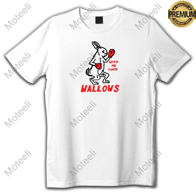 Wallows Wish Me Luck New Shirt